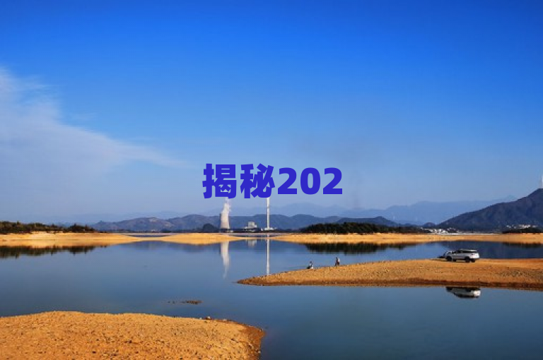 揭秘2025年，QQ空间刷访客量软件的独家内幕与风险