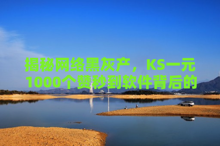 揭秘网络黑灰产，KS一元1000个赞秒到软件背后的虚假繁荣与潜在风险，揭示了KS一元1000个赞秒到软件这类服务虽能迅速提升社交媒体上的点赞数和粉丝量，但背后隐藏着欺诈行为、潜在风险以及对平台生态的不良影响。它警示用户谨慎使用此类服务，强调了通过持续产出高质量内容来实现长远发展的重要性。
