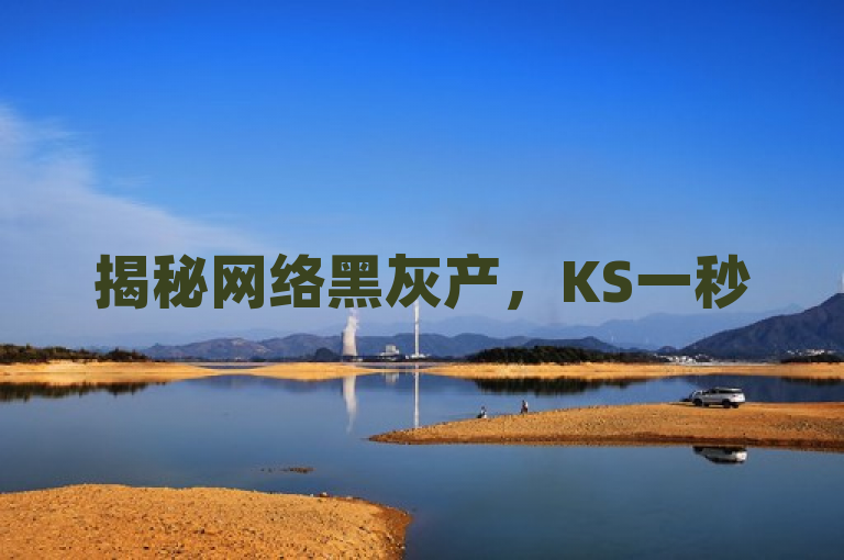 揭秘网络黑灰产，KS一秒5000赞背后的虚假繁荣与风险