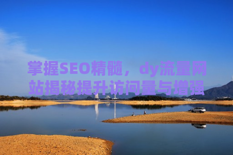 掌握SEO精髓，dy流量网站揭秘提升访问量与增强在线可见度的策略