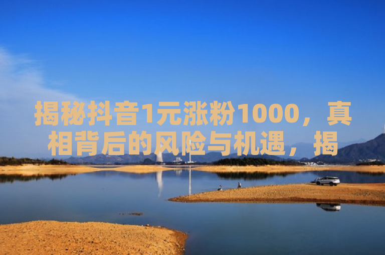 揭秘抖音1元涨粉1000，真相背后的风险与机遇，揭示了抖音上一元购买一千粉丝的现象，并探讨了其背后的真相、潜在风险和可能存在的机遇。