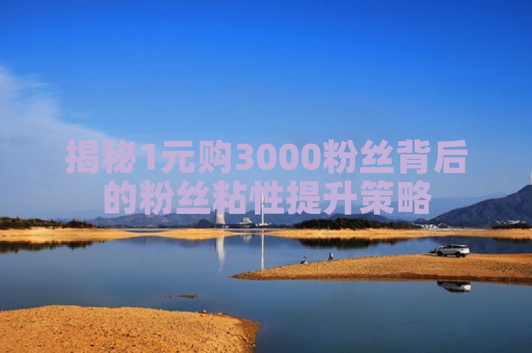 揭秘1元购3000粉丝背后的粉丝粘性提升策略