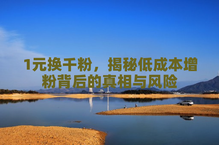 1元换千粉，揭秘低成本增粉背后的真相与风险