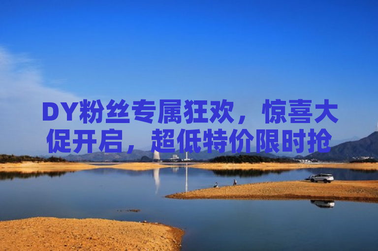 DY粉丝专属狂欢，惊喜大促开启，超低特价限时抢！