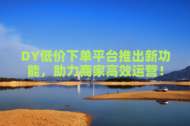 DY低价下单平台推出新功能，助力商家高效运营！
