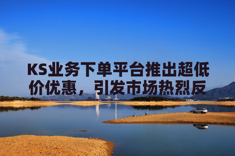 KS业务下单平台推出超低价优惠，引发市场热烈反响