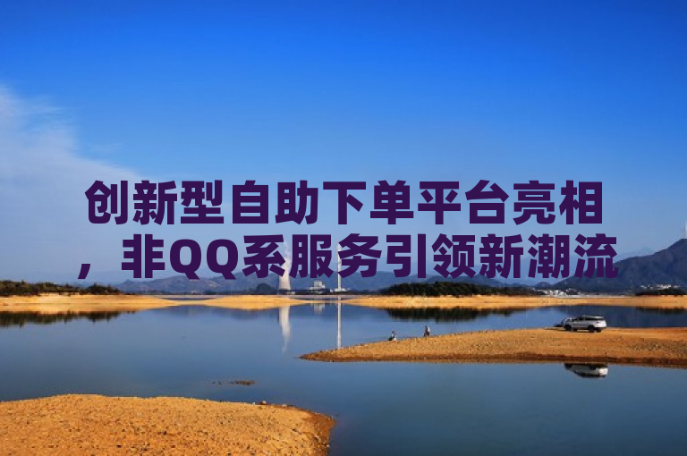 创新型自助下单平台亮相，非QQ系服务引领新潮流