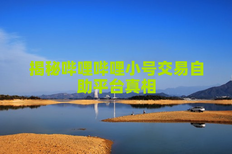 揭秘哔哩哔哩小号交易自助平台真相