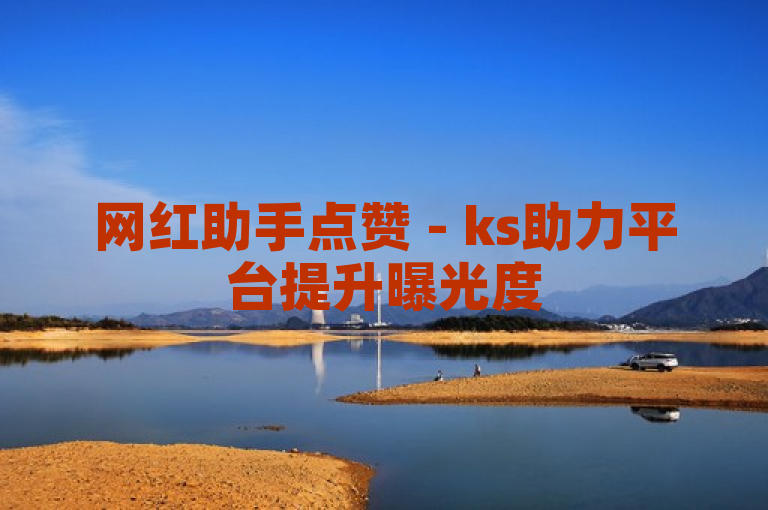 网红助手点赞 - ks助力平台提升曝光度