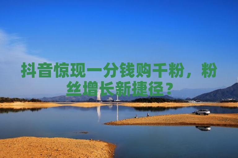 抖音惊现一分钱购千粉，粉丝增长新捷径？