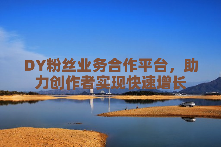 DY粉丝业务合作平台，助力创作者实现快速增长