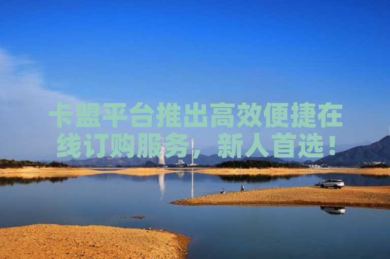 卡盟平台推出高效便捷在线订购服务，新人首选！