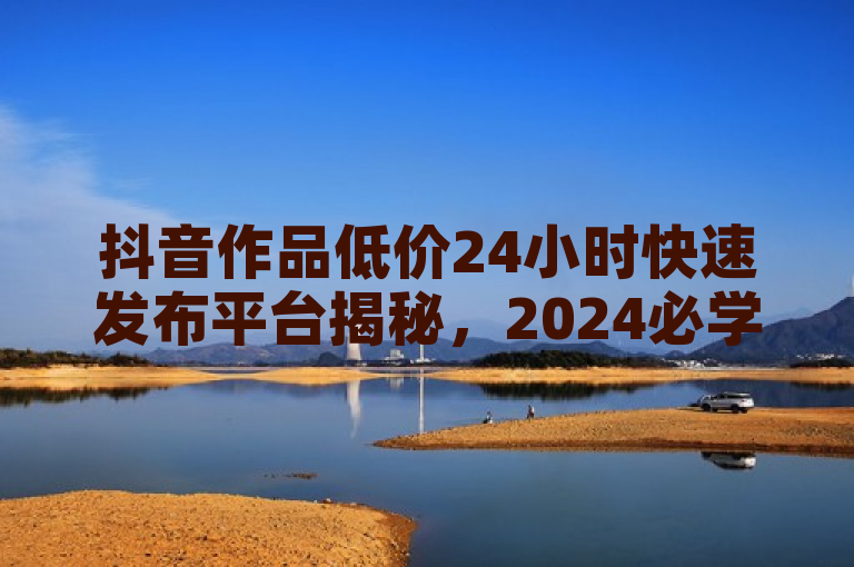 抖音作品低价24小时快速发布平台揭秘，2024必学技巧！