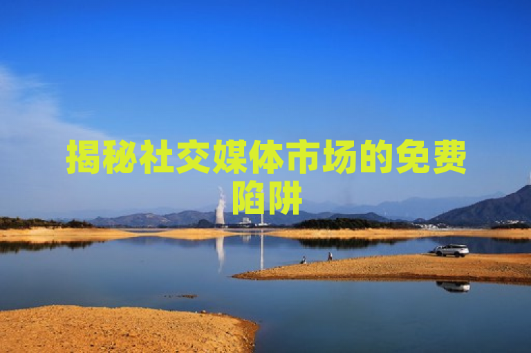 揭秘社交媒体市场的免费陷阱
