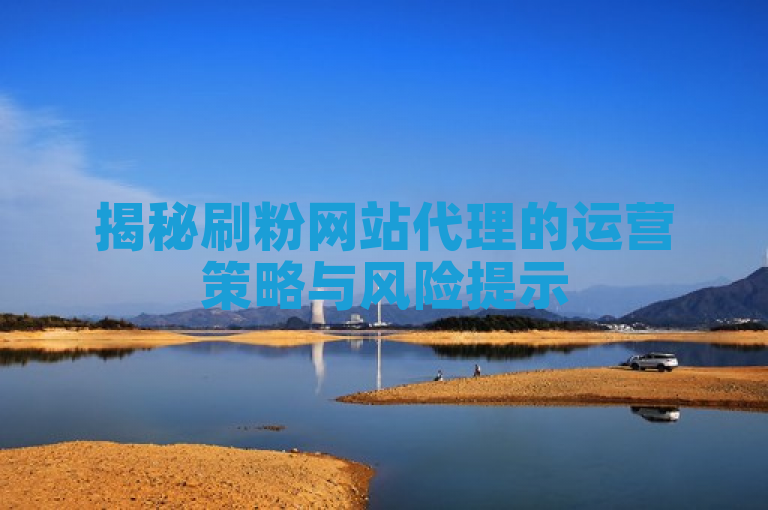 揭秘刷粉网站代理的运营策略与风险提示