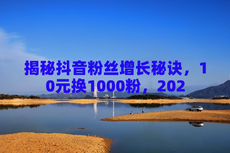 揭秘抖音粉丝增长秘诀，10元换1000粉，2025年必备技巧！