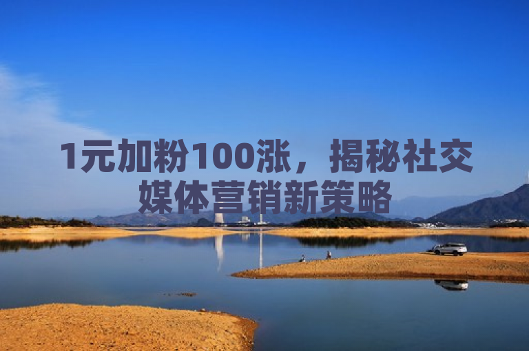 1元加粉100涨，揭秘社交媒体营销新策略