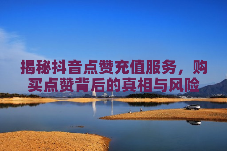 揭秘抖音点赞充值服务，购买点赞背后的真相与风险