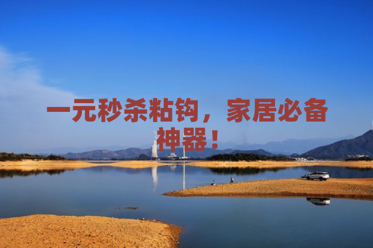 一元秒杀粘钩,家居必备神器!