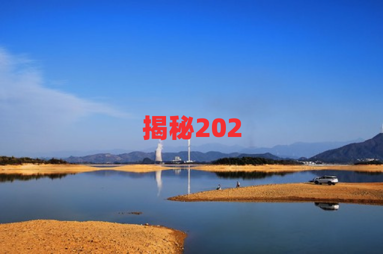 揭秘2025年必学技巧，免费自助下单，轻松进入付费网站！
