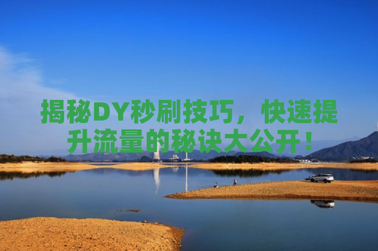 揭秘DY秒刷技巧，快速提升流量的秘诀大公开！
