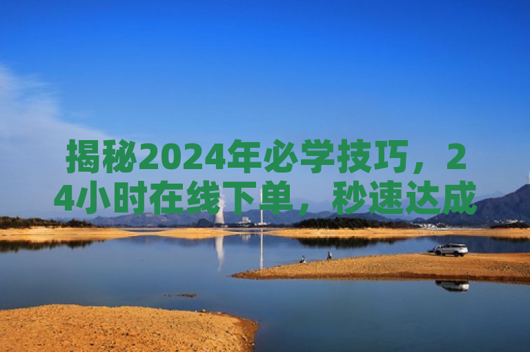 揭秘2024年必学技巧，24小时在线下单，秒速达成您的订单！