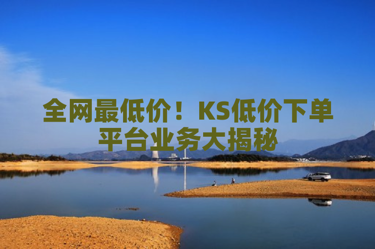 全网最低价！KS低价下单平台业务大揭秘