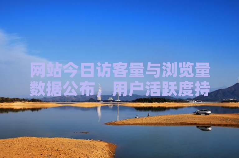 网站今日访客量与浏览量数据公布，用户活跃度持续攀升！
