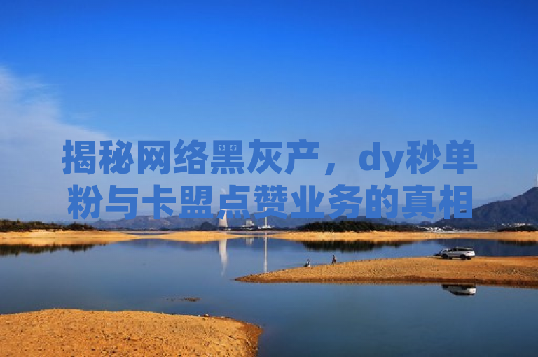 揭秘网络黑灰产，dy秒单粉与卡盟点赞业务的真相，揭露了互联网平台上某些不正当的业务行为，特别是针对dy（可能是指抖音或其他直播平台）的秒单粉和卡盟点赞业务。这些业务往往涉及虚假流量和点赞，破坏了平台的公平性和用户的信任。通过使用揭秘一词，吸引了读者对网络黑灰产内幕的兴趣，同时真相一词则暗示文章将深入分析这些现象的本质和影响。