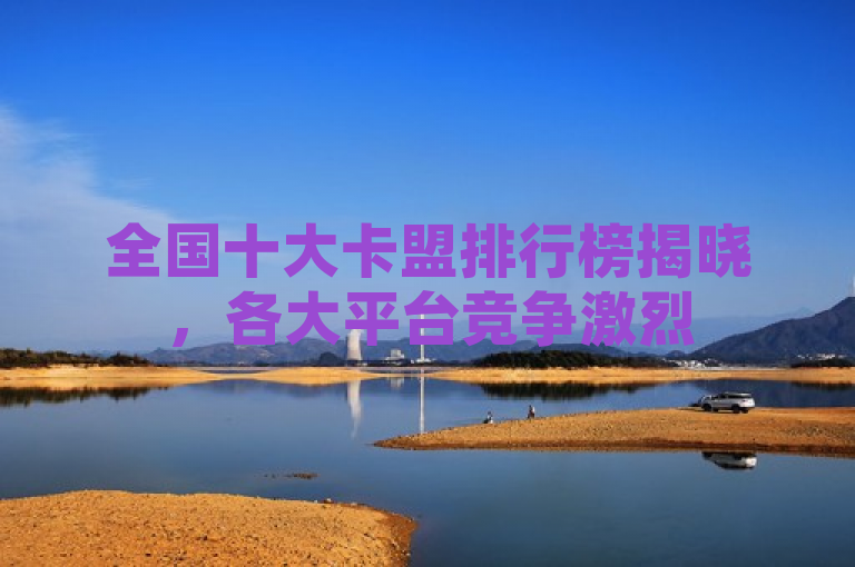 全国十大卡盟排行榜揭晓，各大平台竞争激烈