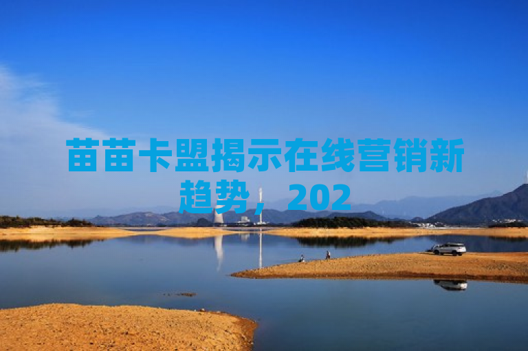 苗苗卡盟揭示在线营销新趋势，2025年必学策略大公开！