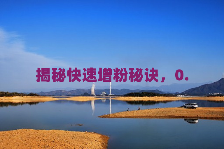 揭秘快速增粉秘诀，0.5自助下单平台助你轻松获得1000粉丝！
