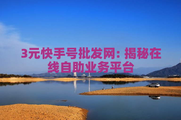 3元快手号批发网: 揭秘在线自助业务平台51补单网