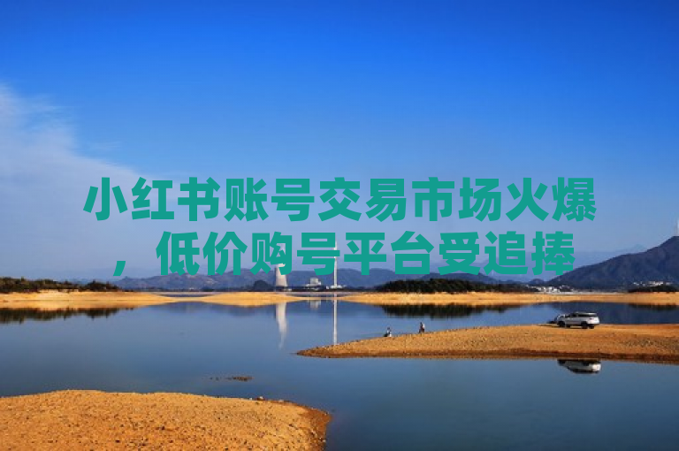 小红书账号交易市场火爆，低价购号平台受追捧