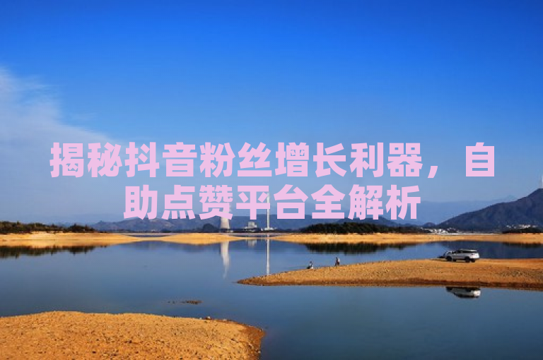 揭秘抖音粉丝增长利器，自助点赞平台全解析