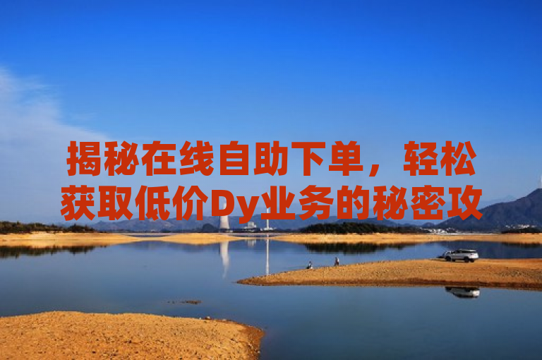 揭秘在线自助下单,轻松获取低价Dy业务的秘密攻略