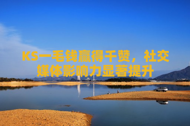 KS一毛钱赢得千赞，社交媒体影响力显著提升