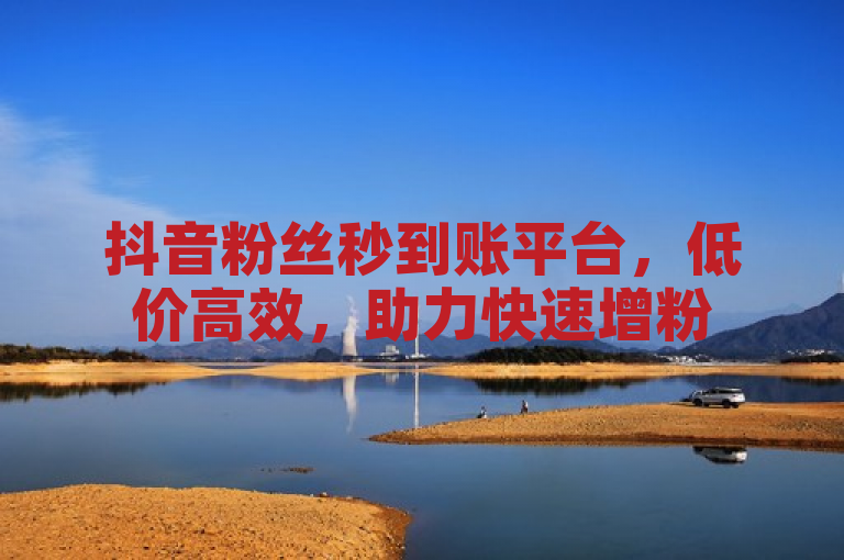 抖音粉丝秒到账平台，低价高效，助力快速增粉