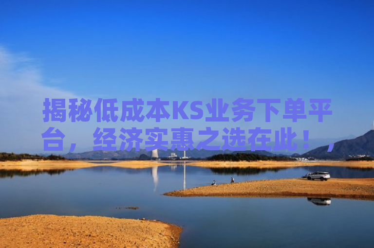 揭秘低成本KS业务下单平台，经济实惠之选在此！，表明了一个经济实惠的KS业务下单平台，为用户提供了一个便宜的选择。