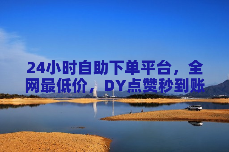 24小时自助下单平台，全网最低价，DY点赞秒到账