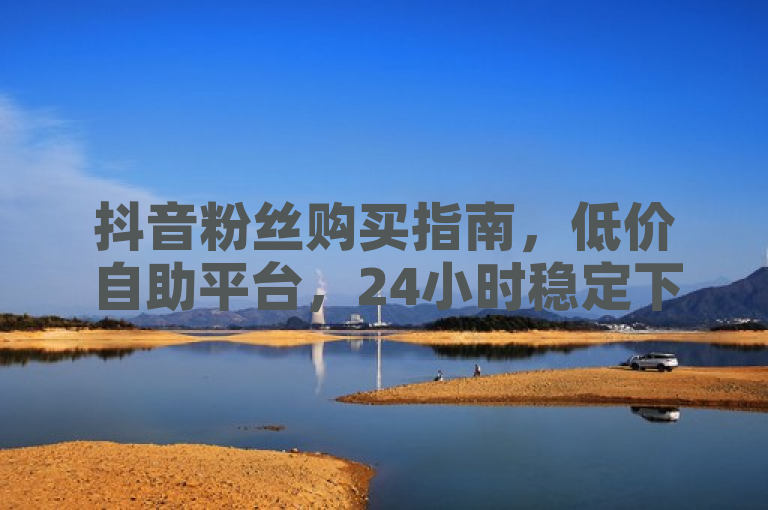 抖音粉丝购买指南，低价自助平台，24小时稳定下单