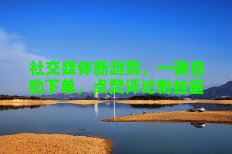 社交媒体新趋势，一键自助下单，点赞评论粉丝量同步增长