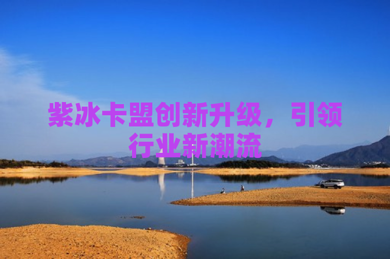 紫冰卡盟创新升级，引领行业新潮流