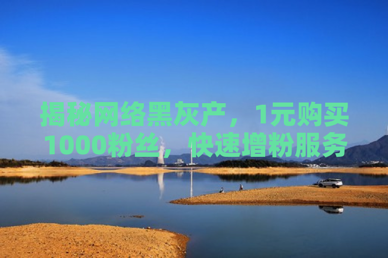 揭秘网络黑灰产，1元购买1000粉丝，快速增粉服务引发关注