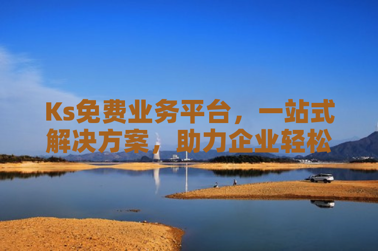 Ks免费业务平台，一站式解决方案，助力企业轻松高效管理
