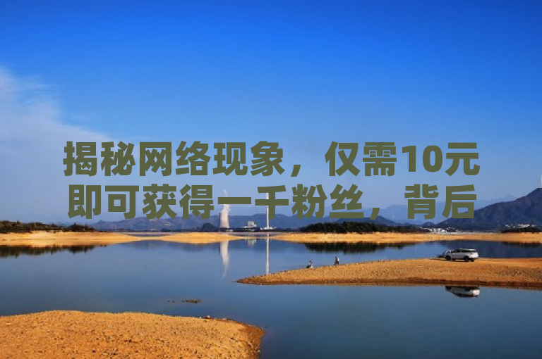 揭秘网络现象，仅需10元即可获得一千粉丝，背后真相是什么？