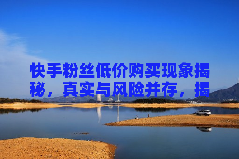快手粉丝低价购买现象揭秘，真实与风险并存，揭示了在快手平台上存在的粉丝低价购买现象，同时强调了这种现象背后的真实情况与潜在风险。通过揭秘一词吸引读者注意，暗示文章将对这一现象进行深入探讨和分析。