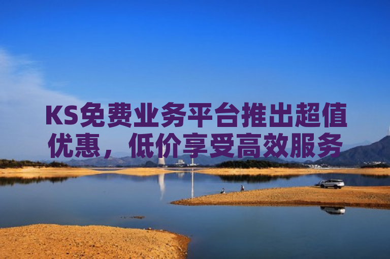 KS免费业务平台推出超值优惠，低价享受高效服务！