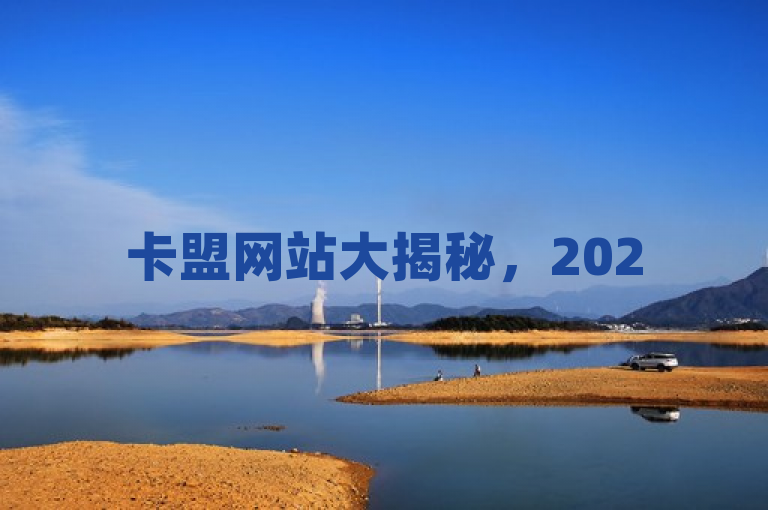 卡盟网站大揭秘，2025年最受欢迎联盟排行榜发布！