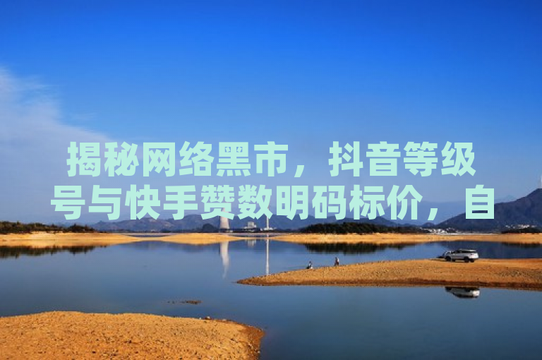揭秘网络黑市，抖音等级号与快手赞数明码标价，自助下单小程序承诺一分钱一万粉